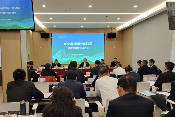 聚力攻堅(jiān)降成本 深化改革增效益——省城市更新集團(tuán)等三家公司召開降本增效專題研討會