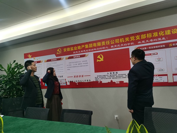 安徽鹽業(yè)地產(chǎn)集團(tuán)機(jī)關(guān)第一黨支部開(kāi)展“佩黨徽、誦誓詞、贈(zèng)黨章、上黨課”黨員教育活動(dòng)